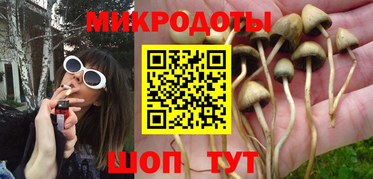 Псилоцибиновые грибы мухоморы Тавда