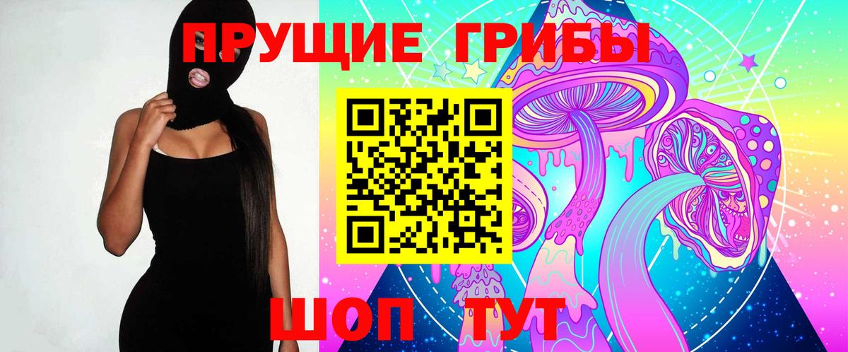 Тавда  Псилоцибиновые грибы прущие грибы  Вход с VPN 